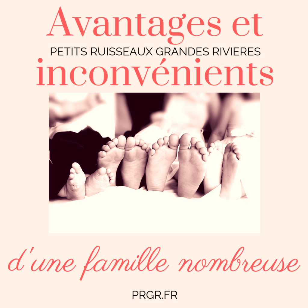 Des Avantages Et Des Inconvenients D Une Famille Nombreuse Les Petits Ruisseaux Font Les Grandes Rivieres